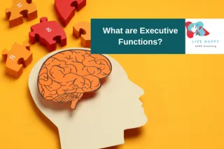 What are Executive Functions?