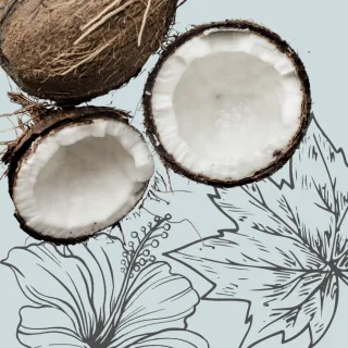 Introducing a Canadian coconut!