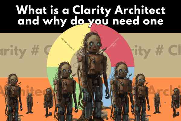 What is a Clarity Architect and why do you need one?