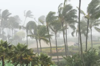 It's Never Too Early: Your Ultimate Hurricane Preparedness Checklist