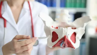 What Does A Pelvic Floor Evaluation Look Like?