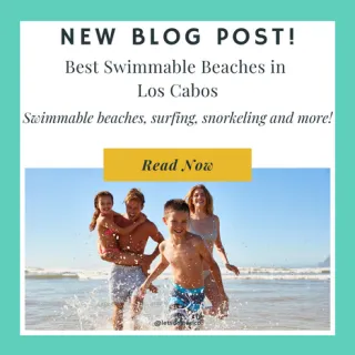 Top 5 Swimmable Beaches in Los Cabos
