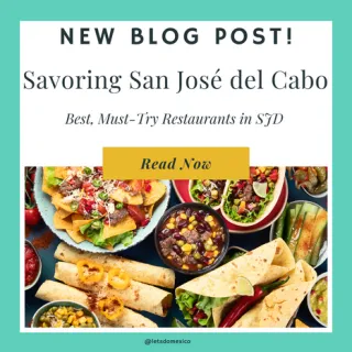 Savoring San José del Cabo: Best Restaurants to Explore