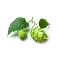 FAQ image