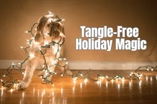 Tangle-Free Holiday Magic: How to Store Christmas Lights Like a Pro