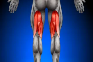 Pulled Hamstring So Bad You Can’t Walk? Here’s How Lobacz Chiropractic Helps You Heal Naturally