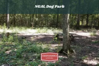 NGAL Dog Park | Off-Leash Dog Park in Rock Spring GA Near Chattanooga