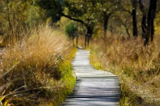 The challenge of mindfulness and presence