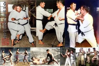 Goju-Ryu Curriculum