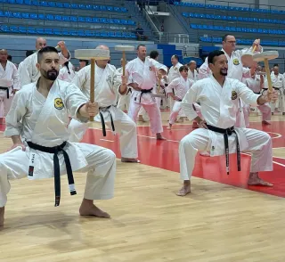 HoJO UNDO