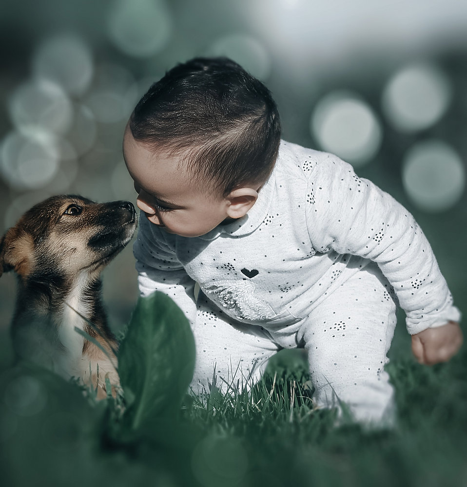 Qualified Professional Baby & Pet Proofing | Peninsula & Surrounding Areas