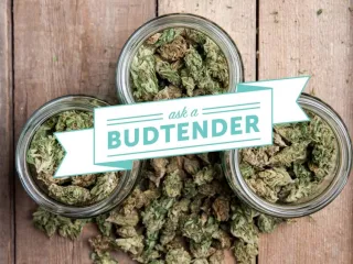 Ask Your Local Budtender