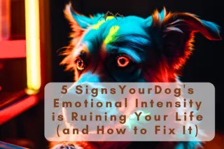 5 Signs Your Dog's Emotional Intensity is Ruining Your Life (and How to Fix It)