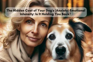 The Hidden Cost of Your Dog's (Anxiety) Emotional Intensity: Is It Holding You Back?