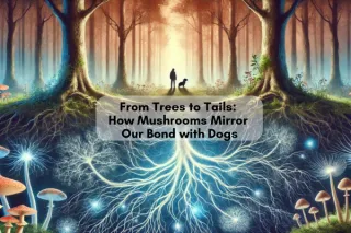 From Trees to Tails: How Mushrooms Mirror Our Bond with Dogs