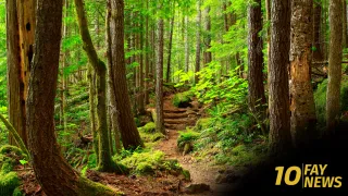 Eastern North Carolina Trails Receive $2.6 Million Boost from Great Trails State Program
