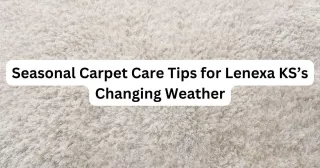 Seasonal Carpet Care Tips for Lenexa KS’s Changing Weather