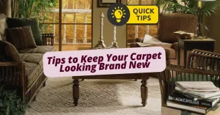 Carpet Care 101: 7 Expert Tips to Keep Your Carpet Looking Brand New – Tyrer Wholesale Floor Covering