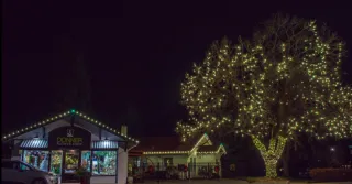 Christmas Lights for Events and Businesses: Transform Your Space with Festive Illumination