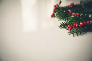 Expert Tips for Professional Holiday Light Installation