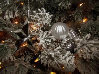Expert Tips for Hassle-Free Holiday Lighting
