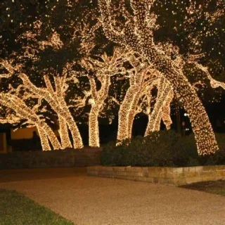 Expert Commercial Holiday Lighting Services in Portland
