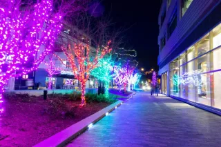 7 Unique Residential Christmas Lighting Ideas