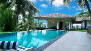 9 Pool Tile Ideas to Help You Design the Space of Your Dreams