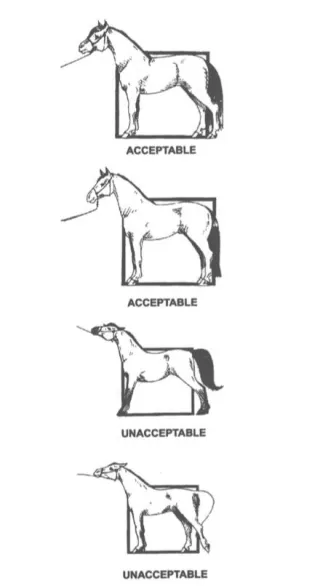 FAQ image