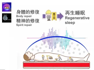 探索日本負電位聲頻溫療床墊的秘密：  負電位的神奇科技