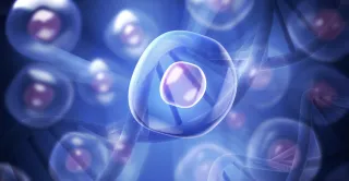 Strategies to Slow Aging and Combat Oxidative Stress