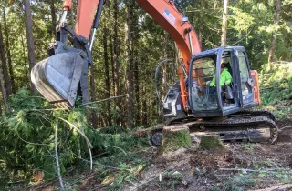 How Much Is Land Clearing Near King County? 