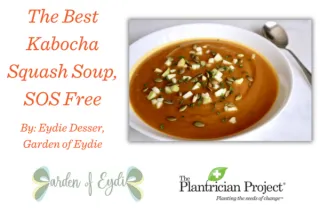 Garden of Eydie Corner ~ The Best Kabocha Squash Soup, SOS Free - Copy