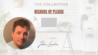 Because of Plexus - John Lurken