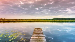 Feast and Famine: How to Build Emotional Resilience and Thrive on an Unstable Income