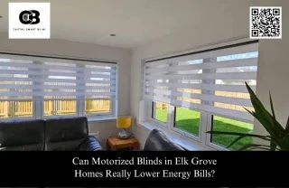 Are Window Shade Automatic Systems in Davis the Future of Smart Living?
