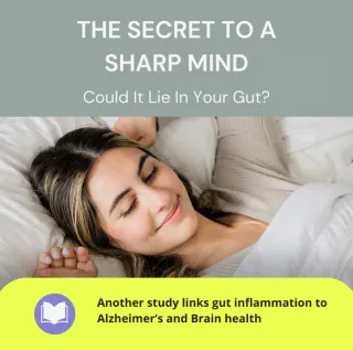 The Gut-Brain Connection: Unraveling the Mystery of Aging and Alzheimer’s