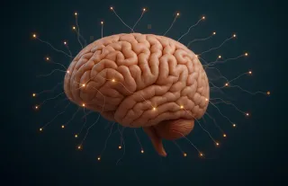Top 5 Insights from Brain by Elizabeth Ricker
