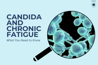 Candida and Chronic Fatigue: What You Need to Know