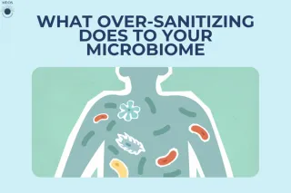 What Over-Sanitizing Does to Your Microbiome