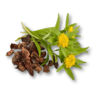 FAQ image