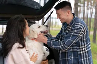 Compassionate Care for Your Beloved Pets in Lodi