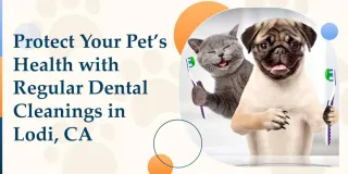 Protect Your Pet’s Health with Regular Dental Cleanings in Lodi, CA