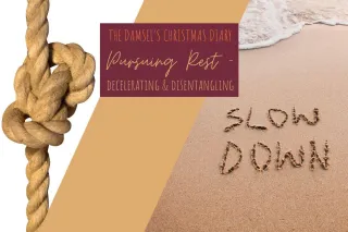 The Damsel's Christmas Diary Part Three: Pursuing Rest