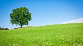 How to Prevent Misinterpretation of the Bible