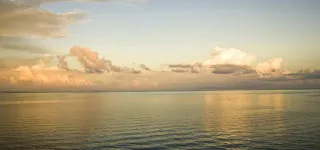If You Fish With a Hot Dog...