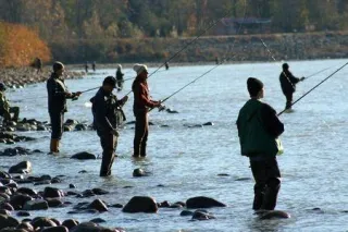 Why Do 20% of the Fisherman Catch 80% of the Fish? It’s Only 3 Things!