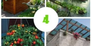 Mini Farming