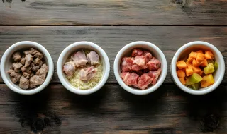 Is Your Dog's Food Fueling Their Best Life? Let's Take a Closer Look!