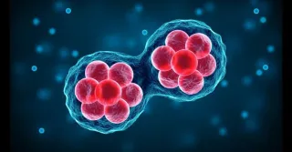 The Science Behind Cellular Healing — How Regenerative Medicine Works